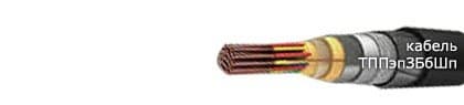 Кабели ТППэпЗББШп 100х2х0,5